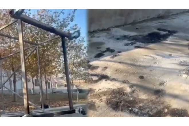 Atası Əkbəri manatlıq taksi ilə böyüdüb - Heç kimin bilmədiyi həyat hekayəsi