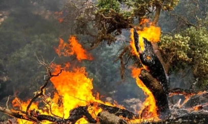 Türkiyə meşə yanğınlarının söndürülməsində İrana kömək edəcək 