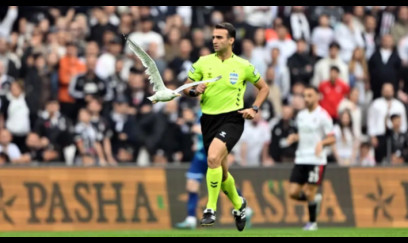 "Beşiktaş"ın matçında kuryoz hadisə: Meydançaya qağayı girdi - VİDEO