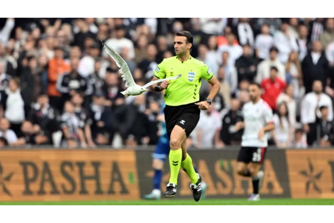 "Beşiktaş"ın matçında kuryoz hadisə: Meydançaya qağayı girdi - VİDEO