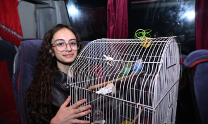 Kəndə qayıdış: sahibi ilə birlikdə geri gələn quşlar- FOTO