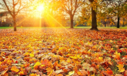 Hava yenidən isti olacaq: Sabah 20 dərəcə gözlənilir