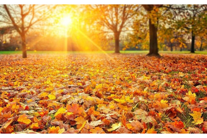 Hava yenidən isti olacaq: Sabah 20 dərəcə gözlənilir