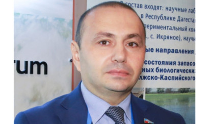 Azərbaycan-Çin əlaqələri yeni MƏRHƏLƏDƏ