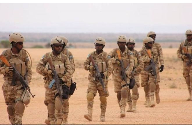 Puntland bölgəsində xüsusi əməliyyat keçirilib 