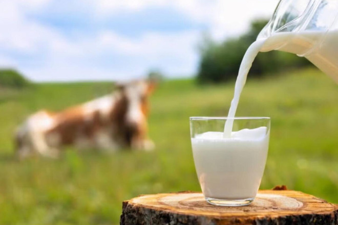 Yağlı süd içənlərə TÖVSİYƏ