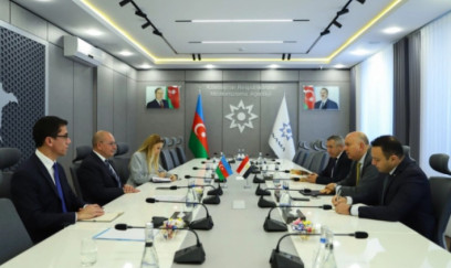 Misir Azərbaycana minatəmizləmədə dəstək göstərə bilər 