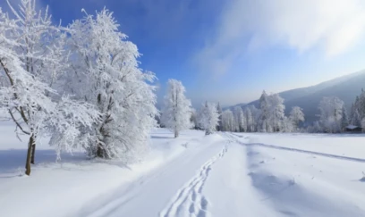 Dekabrda hava necə olacaq?