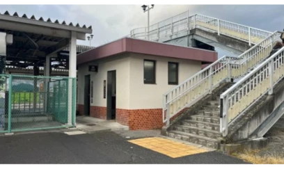 Yaponiyada ümumi tualetə ayı hücum etdi