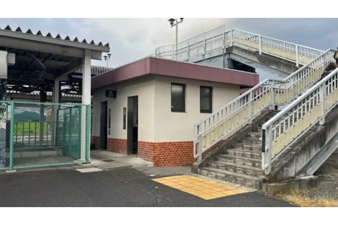 Yaponiyada ümumi tualetə ayı hücum etdi