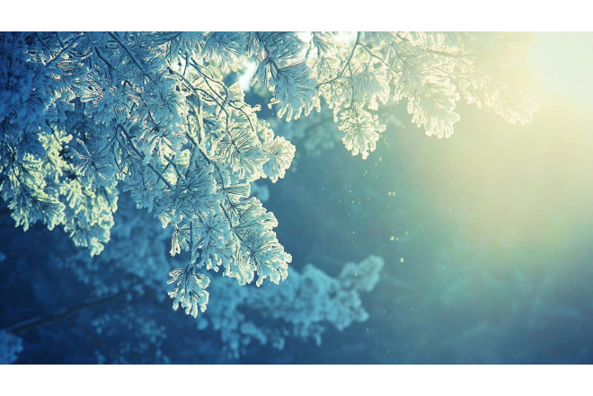 Bu il Azərbaycanda qış belə keçəcək 