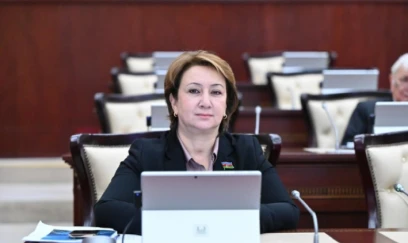 Mehriban Vəliyeva: AXCP kimi qurumlar potensial təhlükə mənbəyidir