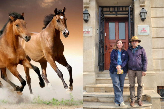 Qarabağda At Festivalı keçiriləcək - Türkiyədən xüsusi təklif