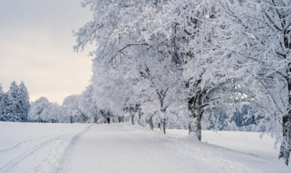 Bəzi ərazilərə qar yağır - FAKTİKİ HAVA
