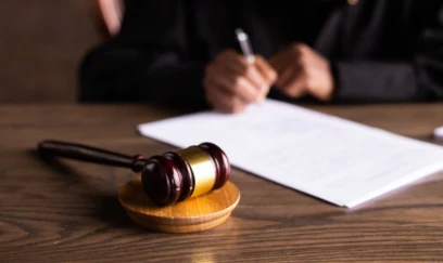 Sevinc Osmanqızı ilə bağlı ibtidai istintaq başa çatıb 