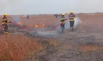 FHN Cəlilabadda açıq ərazidə baş verən yanğınla bağlı məlumat yayıb 