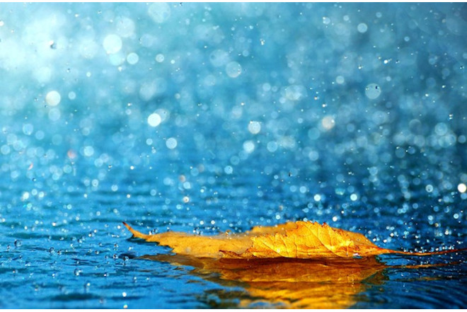 Sabah yağış yağacaq - PROQNOZ 