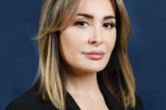 Cəmiyyətdə parçalanma yaratmağa çalışan antimilli dairələr və onların himayədarları fiaskoya uğradı 