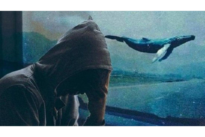 Ölümə aparan tapşıqırlar: "Mavi Balina" yenidən gündəmdə