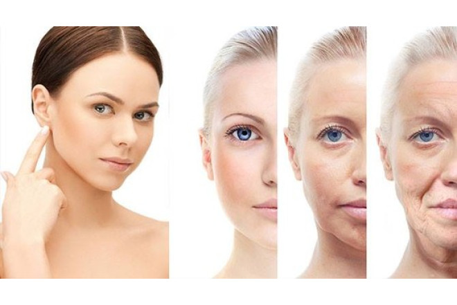 Yaşlı hüceyrələri yenidən cavanlaşdırmaq mümkün olacaq 