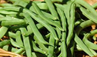 İqtisadiyyat lobya kimidir - Onu zorla dartıb uzaqmaq olmur.