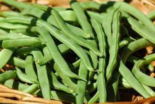 İqtisadiyyat lobya kimidir - Onu zorla dartıb uzaqmaq olmur.