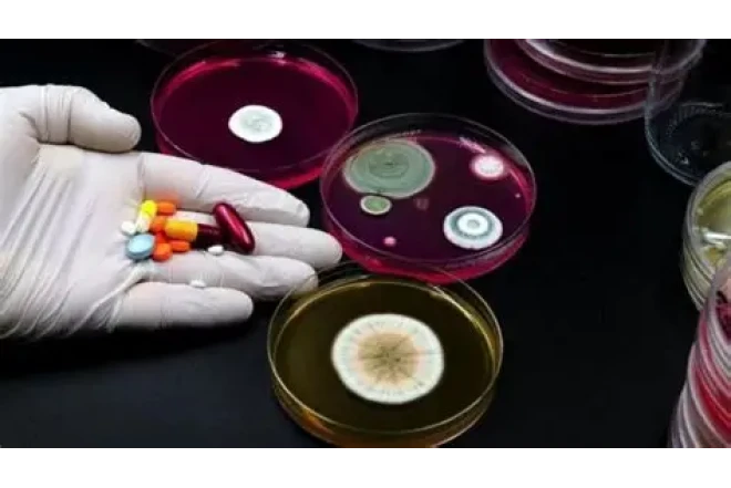 Çirkab suları dərmana davamlı bakteriyaların yayılması üçün mənbə ola bilir 