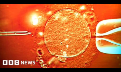 "Bizdə  ərləri aldadıb arvadlarını anonim donorlardan doğuzdururlar"- Hüquqşünasdan SENSASİON AÇIQLAMA