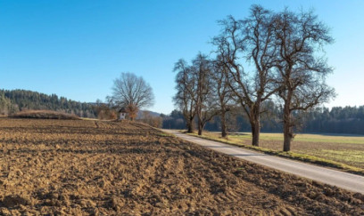 Bu bələdiyyə torpaqları satışa çıxarılır - SİYAHI