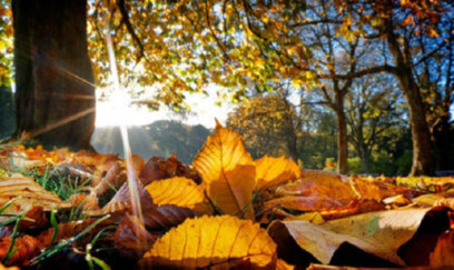 Bazar gününün hava PROQNOZU