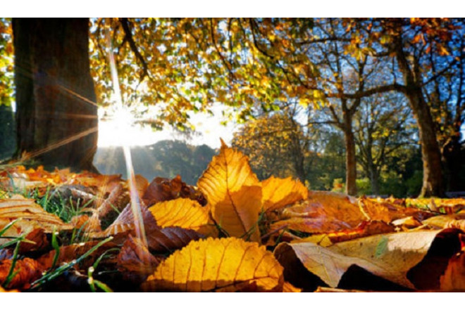 Bazar gününün hava PROQNOZU
