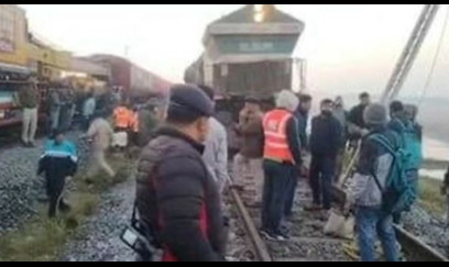 Hindistanda qatar fil sürüsünü vurub - səkkiz heyvan tələf olub