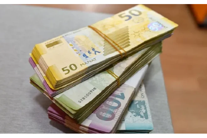 Dövlətə 4,6 milyon borcu olan şirkət hansıdır? 