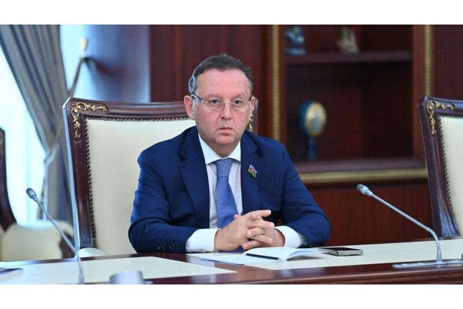 "İlham Əliyev bölgədə qətiyyətini nümayiş etdirib"- Samir Vəliyev