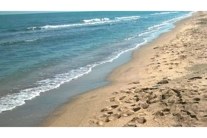 Bakıdan bu rayona gəmi ilə gedə biləcəyik - VİDEO