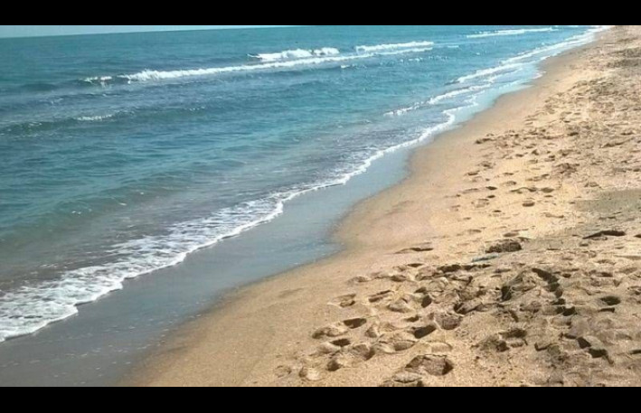 Bakıdan bu rayona gəmi ilə gedə biləcəyik - VİDEO