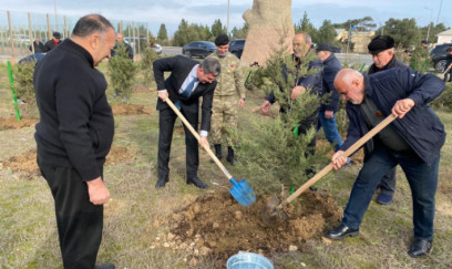 Xəzər rayonunda ağacəkmə aksiyası keçirildi - FOTO