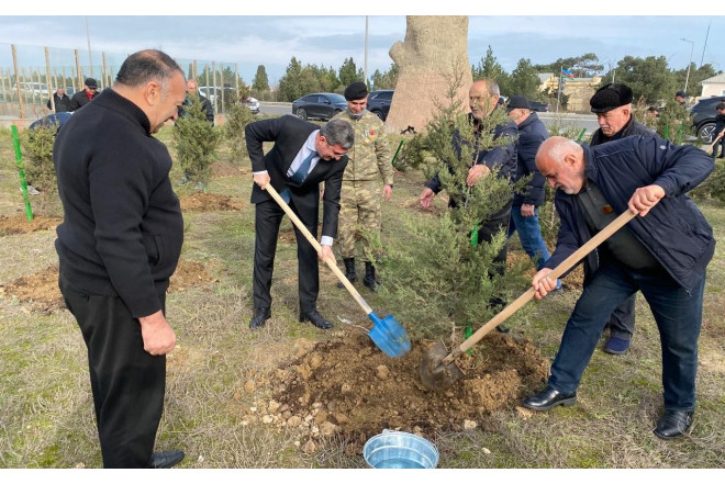 Xəzər rayonunda ağacəkmə aksiyası keçirildi - FOTO