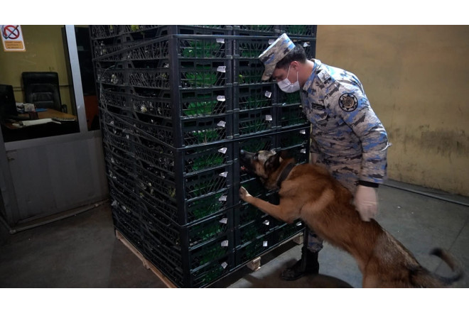 Astara gömrüyündə 148 kq-dan çox narkotik ələ keçirildi - FOTOLAR