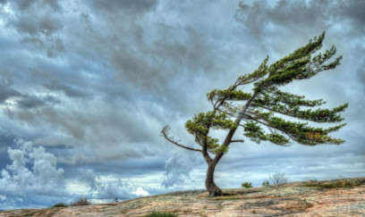 Küləkli hava şəraiti ilə bağlı sarı xəbərdarlıq verilib 