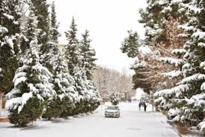 Rayonlara qar yağıb - FAKTİKİ HAVA