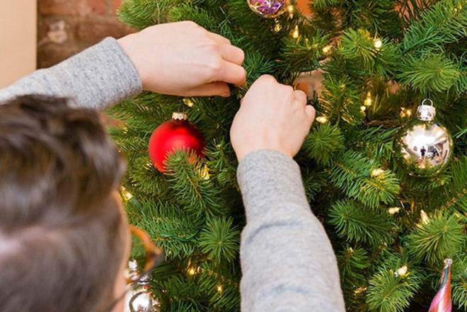 Süni yolkaların zərərləri nələrdir? - AÇIQLAMA