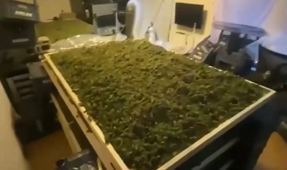 Türkiyədə bir həftədə 354,5 kq narkotik maddə aşkarlanıb, 768 nəfər saxlanılıb- VİDEO