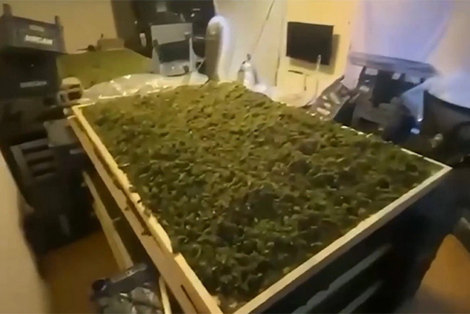 Türkiyədə bir həftədə 354,5 kq narkotik maddə aşkarlanıb, 768 nəfər saxlanılıb- VİDEO