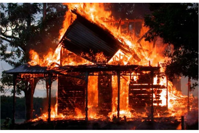 Bakıda ağaclıq sahədə yanğın baş verib VİDEO