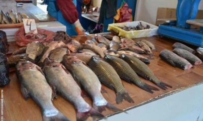 Bazarlarda balıq bahalaşıb – son iki ilin ən yüksək qiyməti