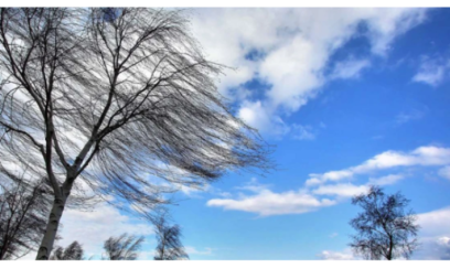 Sabah güclü külək əsəcək - XƏBƏRDARLIQ