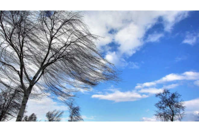 Sabah güclü külək əsəcək - XƏBƏRDARLIQ