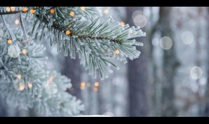 ƏHALİYƏ XƏBƏRDARLIQ: Bu tarixdə Bakıya güclü qar yağacaq