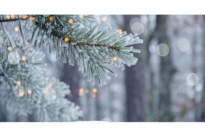 ƏHALİYƏ XƏBƏRDARLIQ: Bu tarixdə Bakıya güclü qar yağacaq